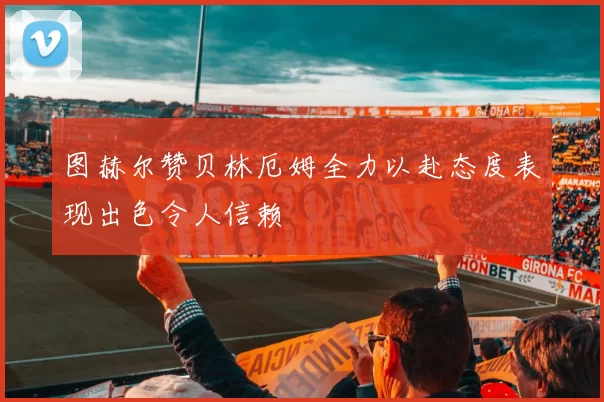 图赫尔赞贝林厄姆全力以赴态度表现出色令人信赖